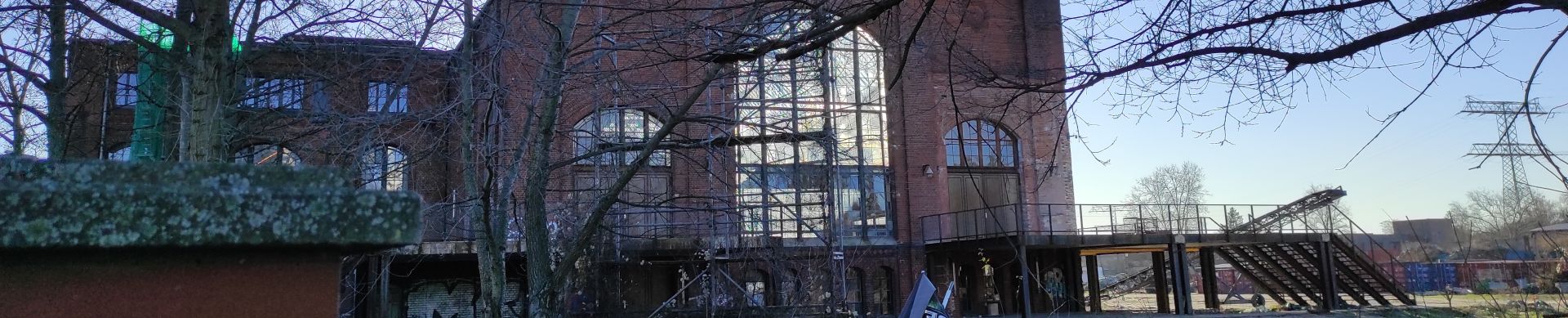 lichtenberg.jpg